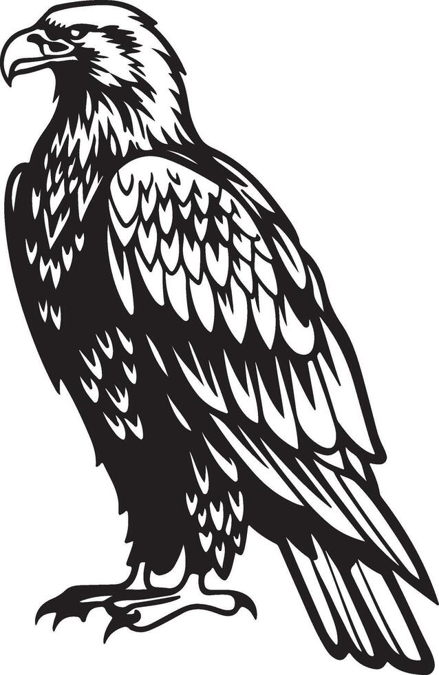 Eagle Perched with Grace Silhouette vector