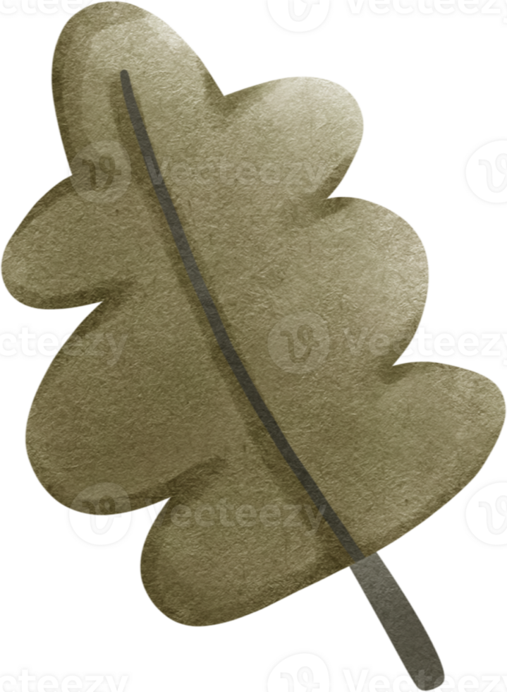 a leaf on a transparent background png