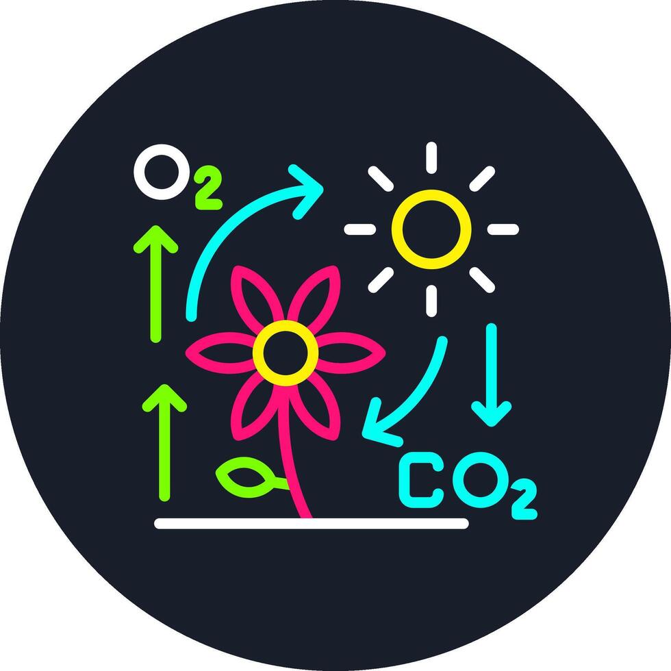 Photosynthesis Line Multi Color Design vector