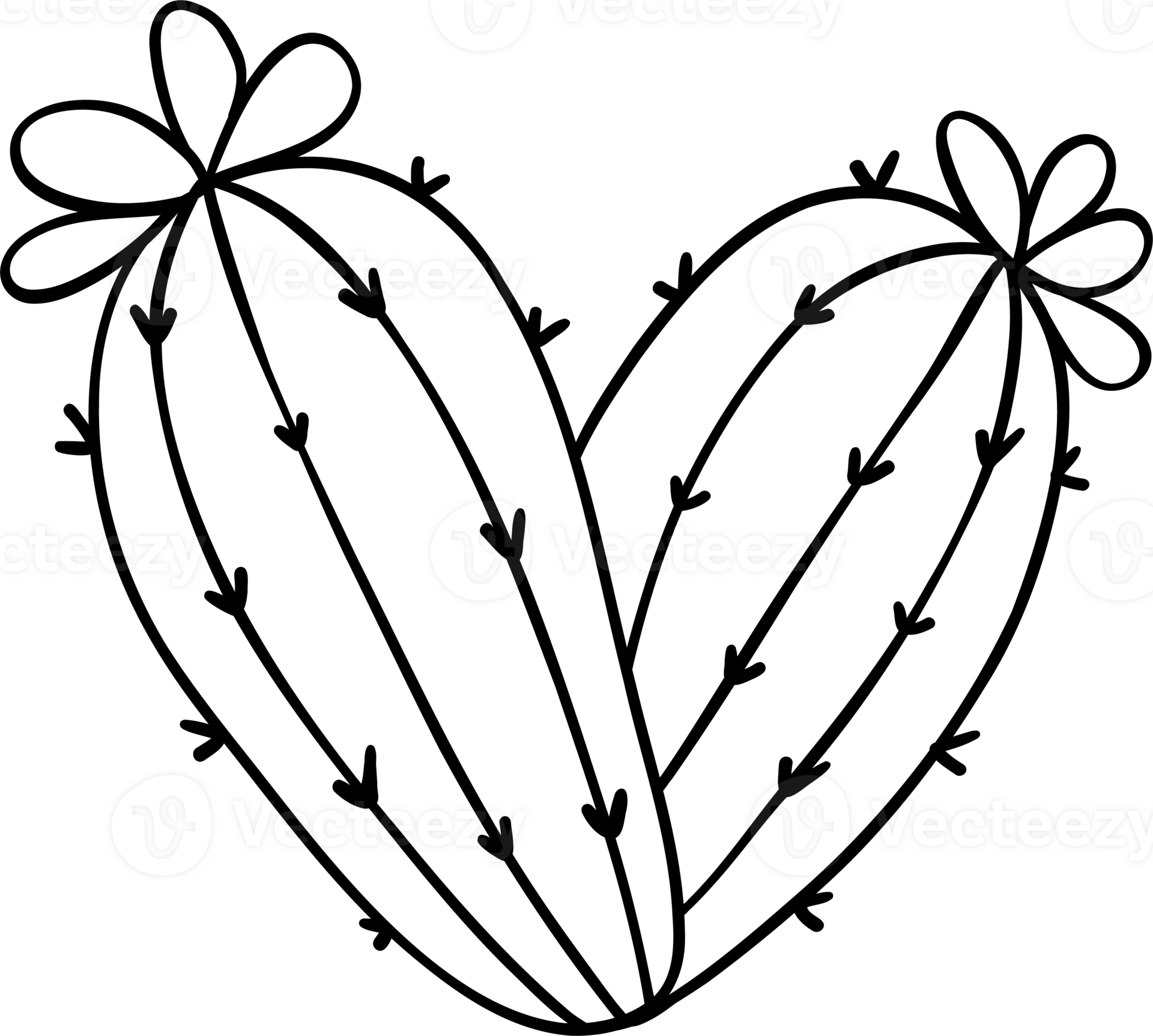 Retro western valentine heart shape cactus coloring image 54246913 png