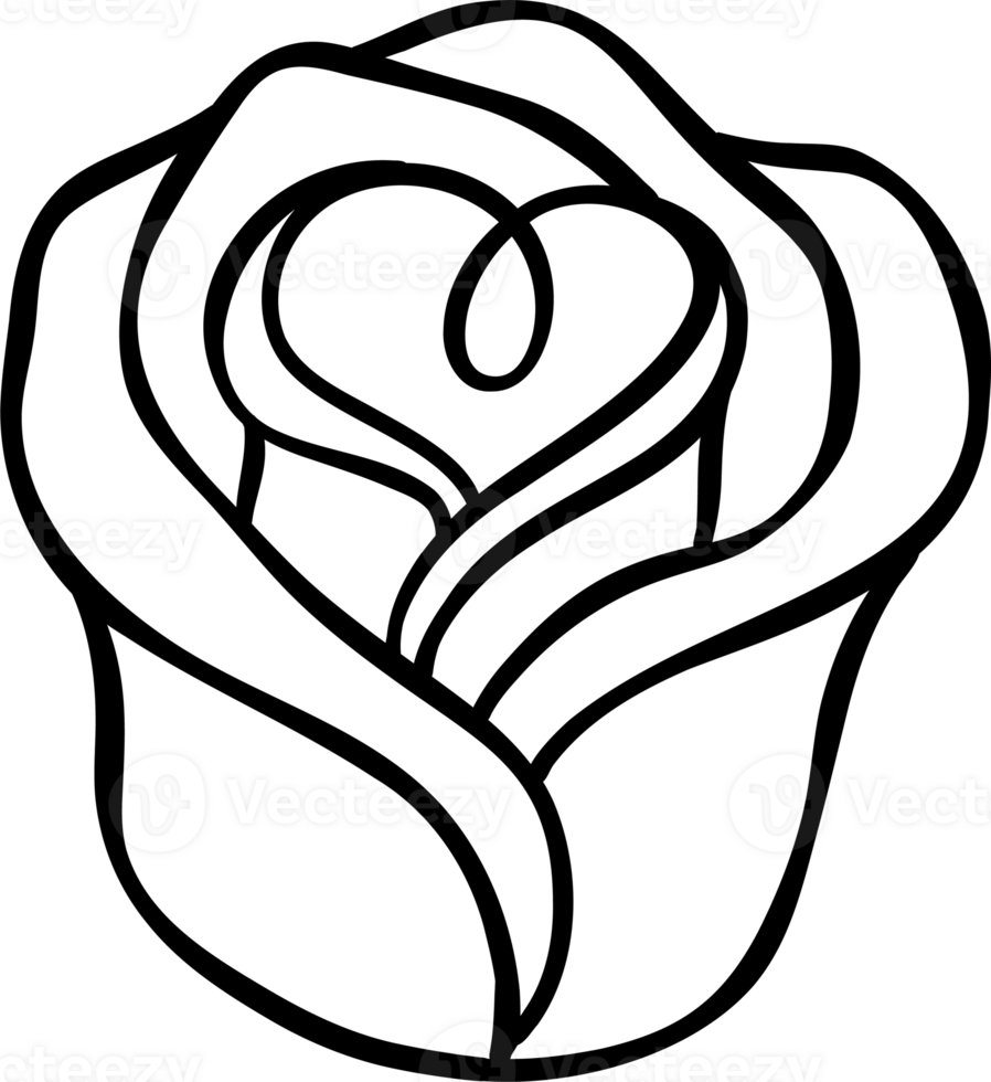 Valentine Rose single decorative coloring image png