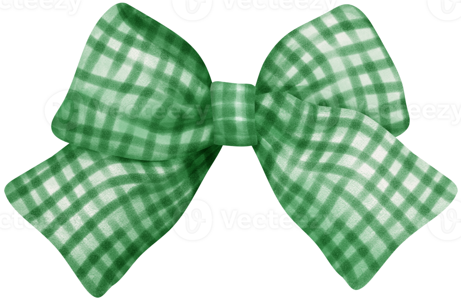 Coquette Green Gingham Ribbon Bow Watercolor png