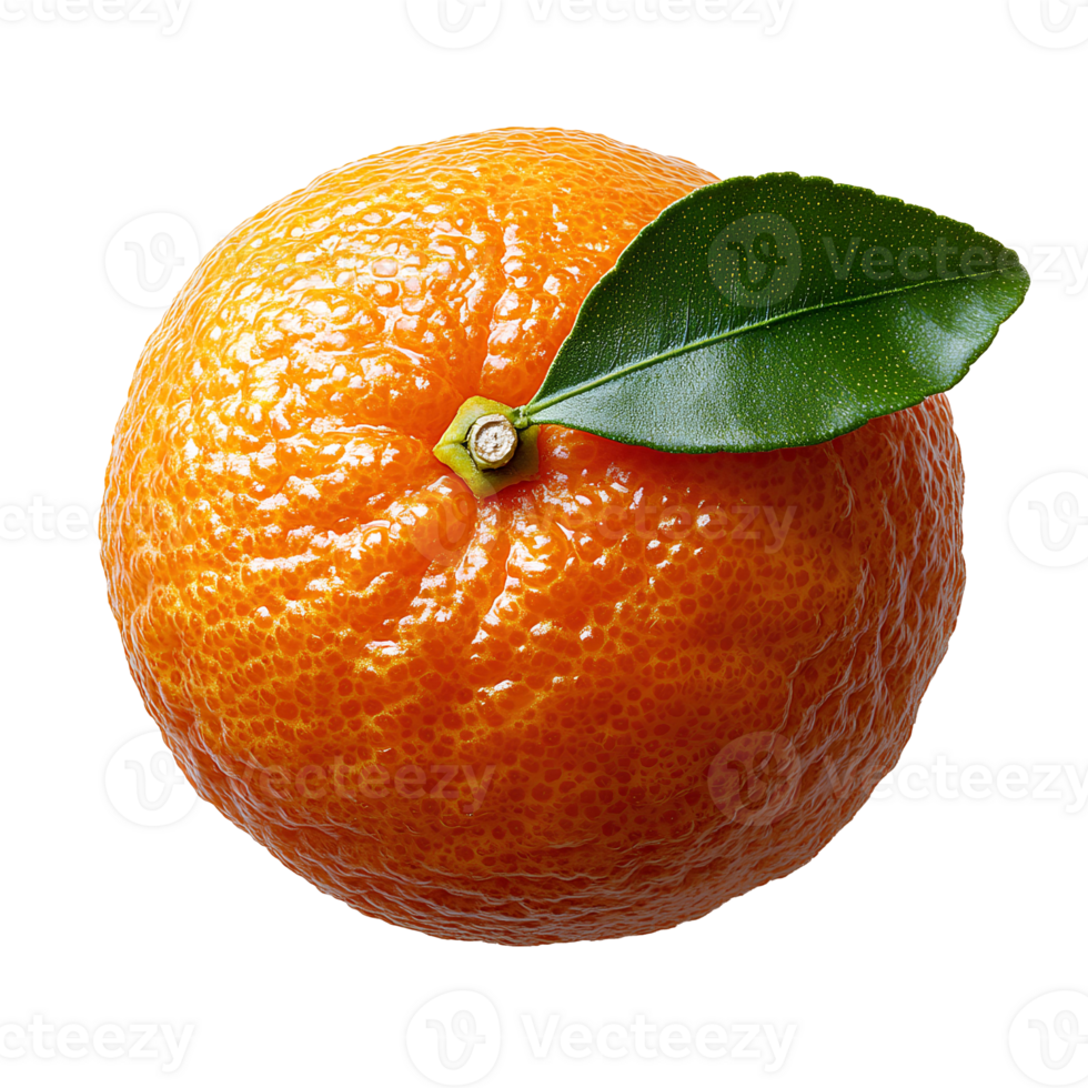 Clementine fruit . citrus fruit clementine top view flat lay isolated. organic and ripe clementine fruit with leaf . vegan vegetarian clementine food png