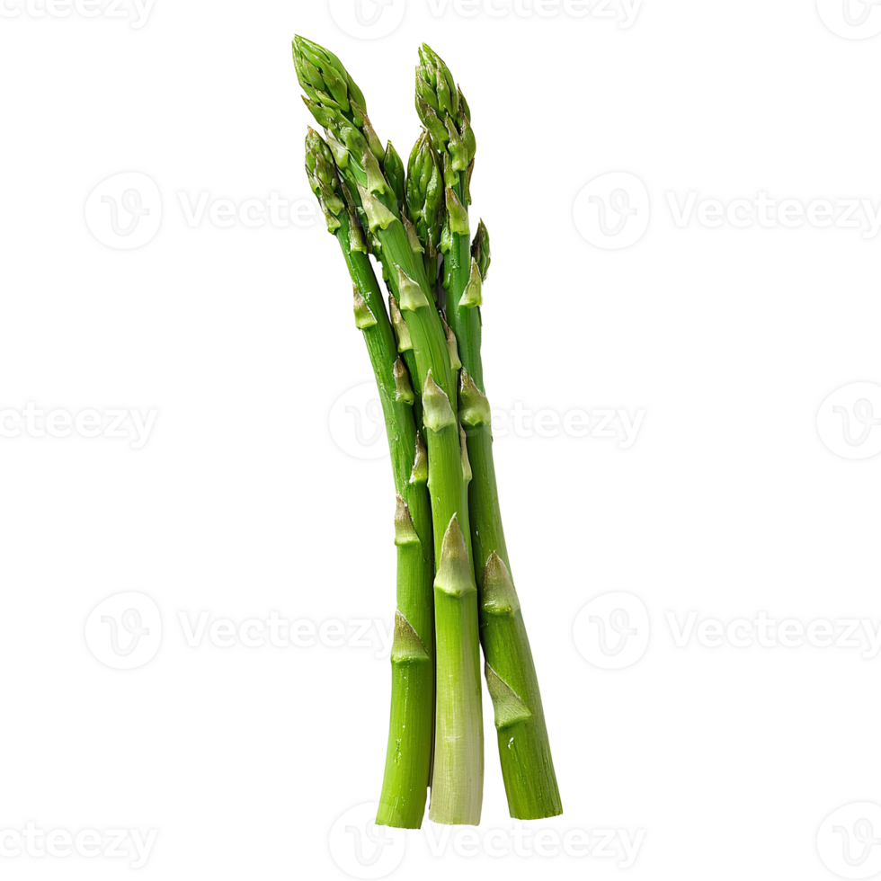 Bunch of asparagus . Asparagus . Asparagus top view isolated. Fresh green asparagus spears flat lay isolated. Organic asparagus vegetable as vegan and vegetarian food png