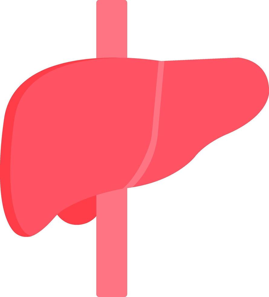 Liver Icon Design Symbol vector
