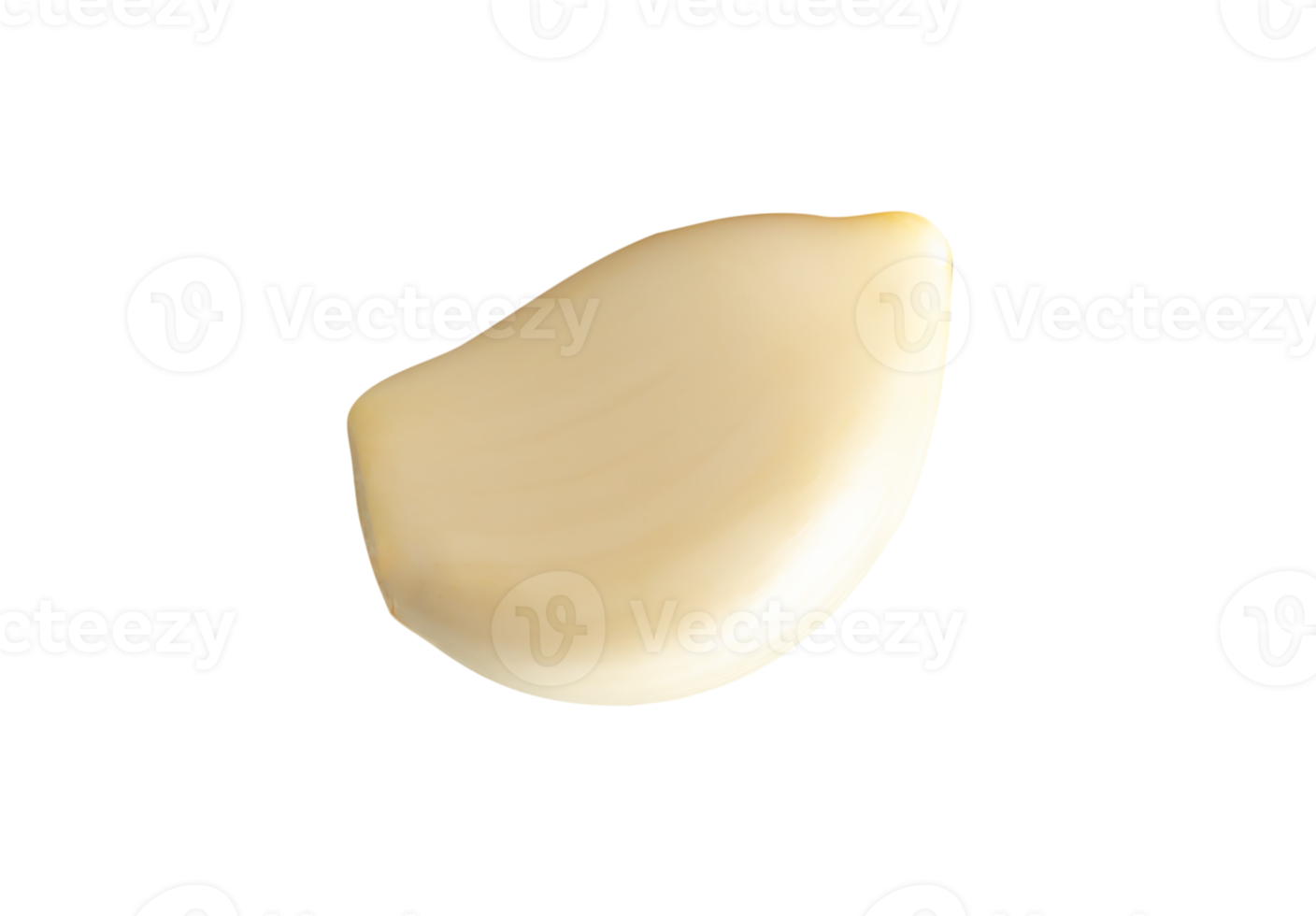 One peeled garlic clove isolated with clipping path in file format png