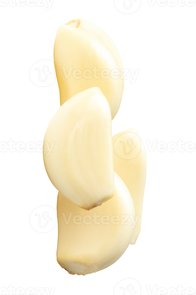 Four white peeled garlic cloves in heap isolated with clipping path in file format png