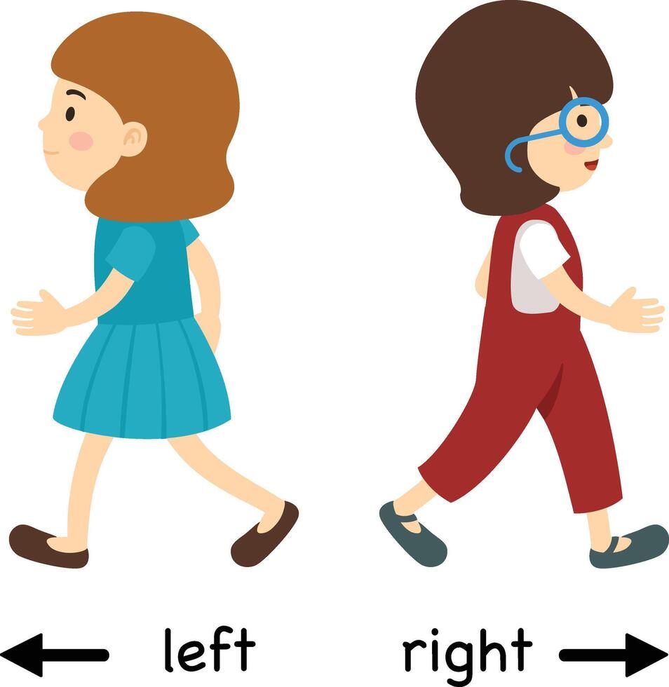Opposite left and right illustration vector