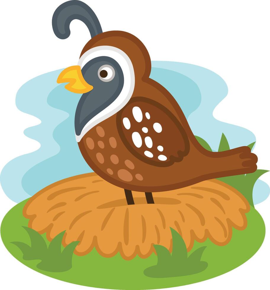 cute cartoon quail character on white background illustration vector