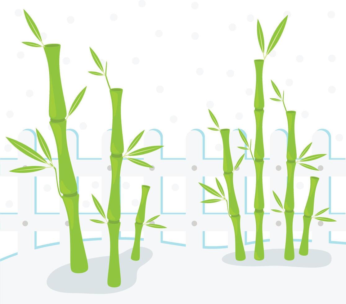 bamboo on white background illustration vector