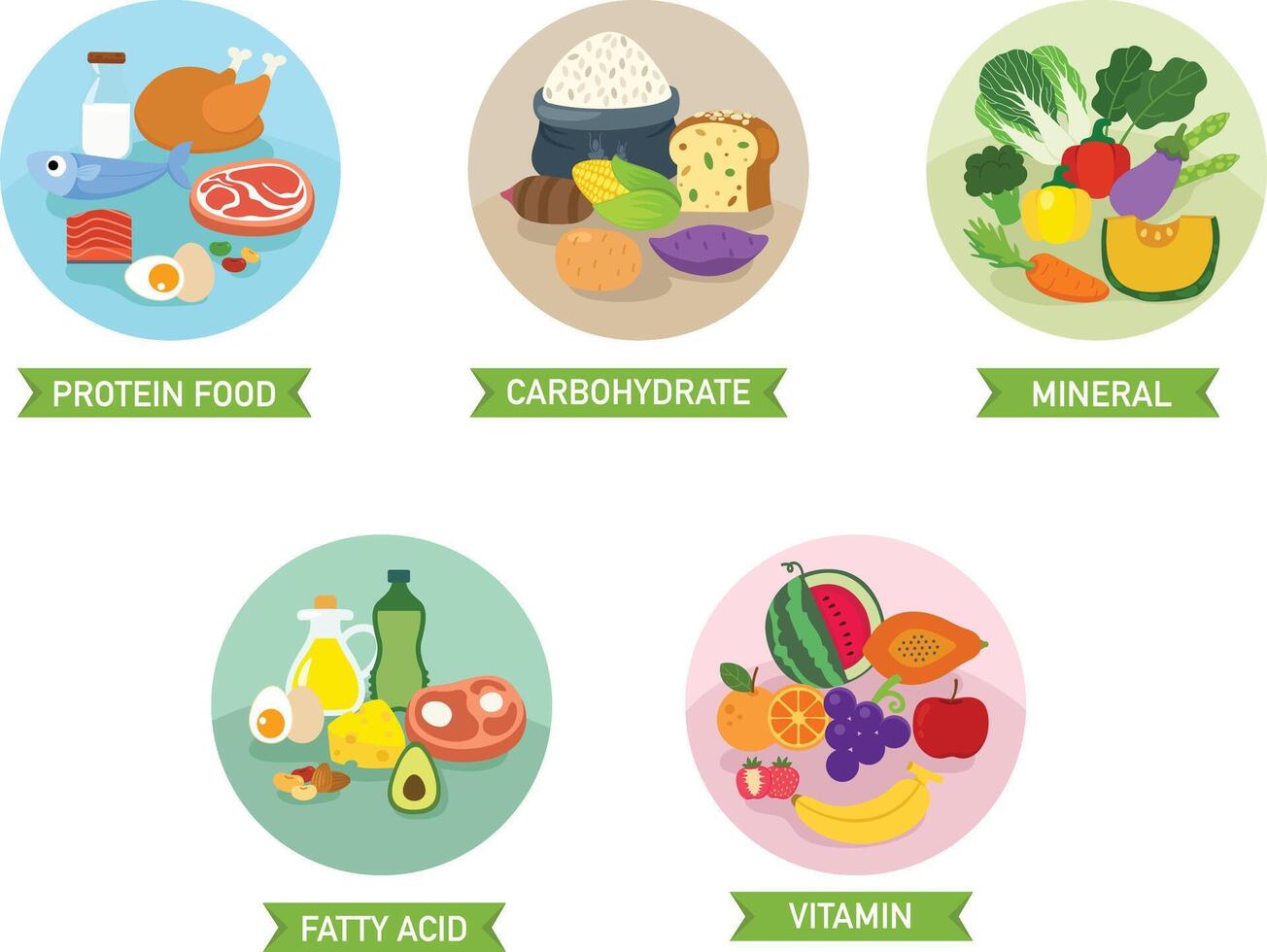 five food group illustration vector
