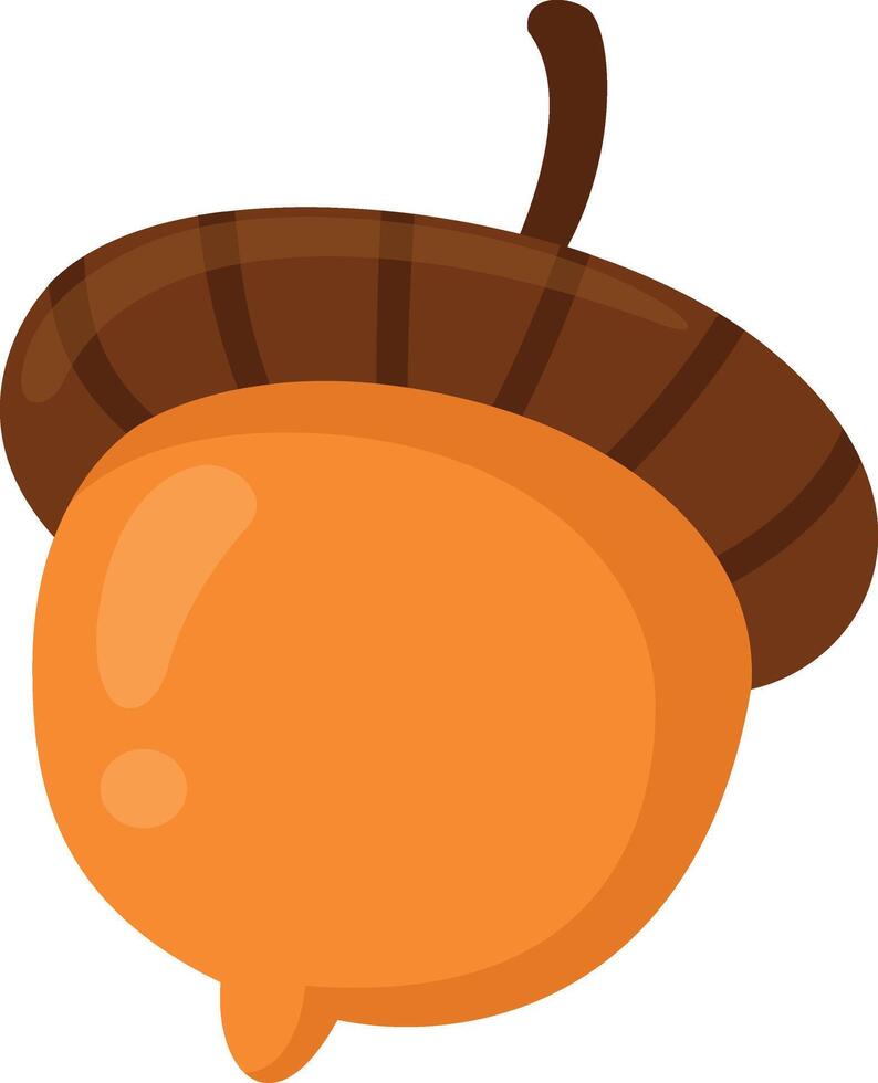 illustration of acorn white on background vector