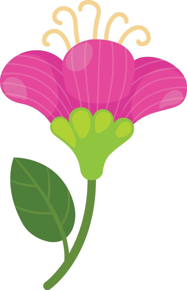 illustration of flower white on background vector
