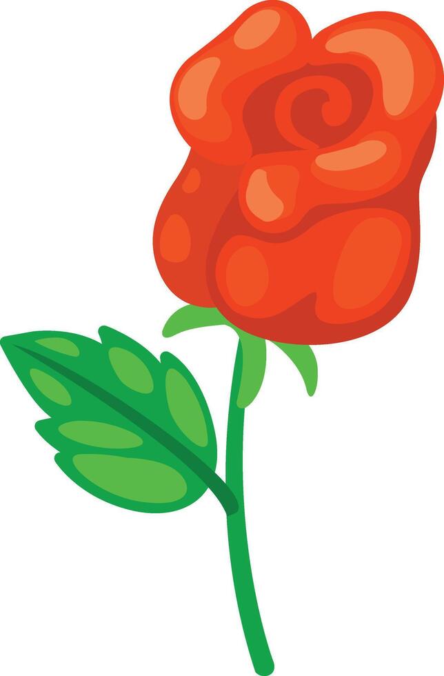 illustration of rose white on background vector