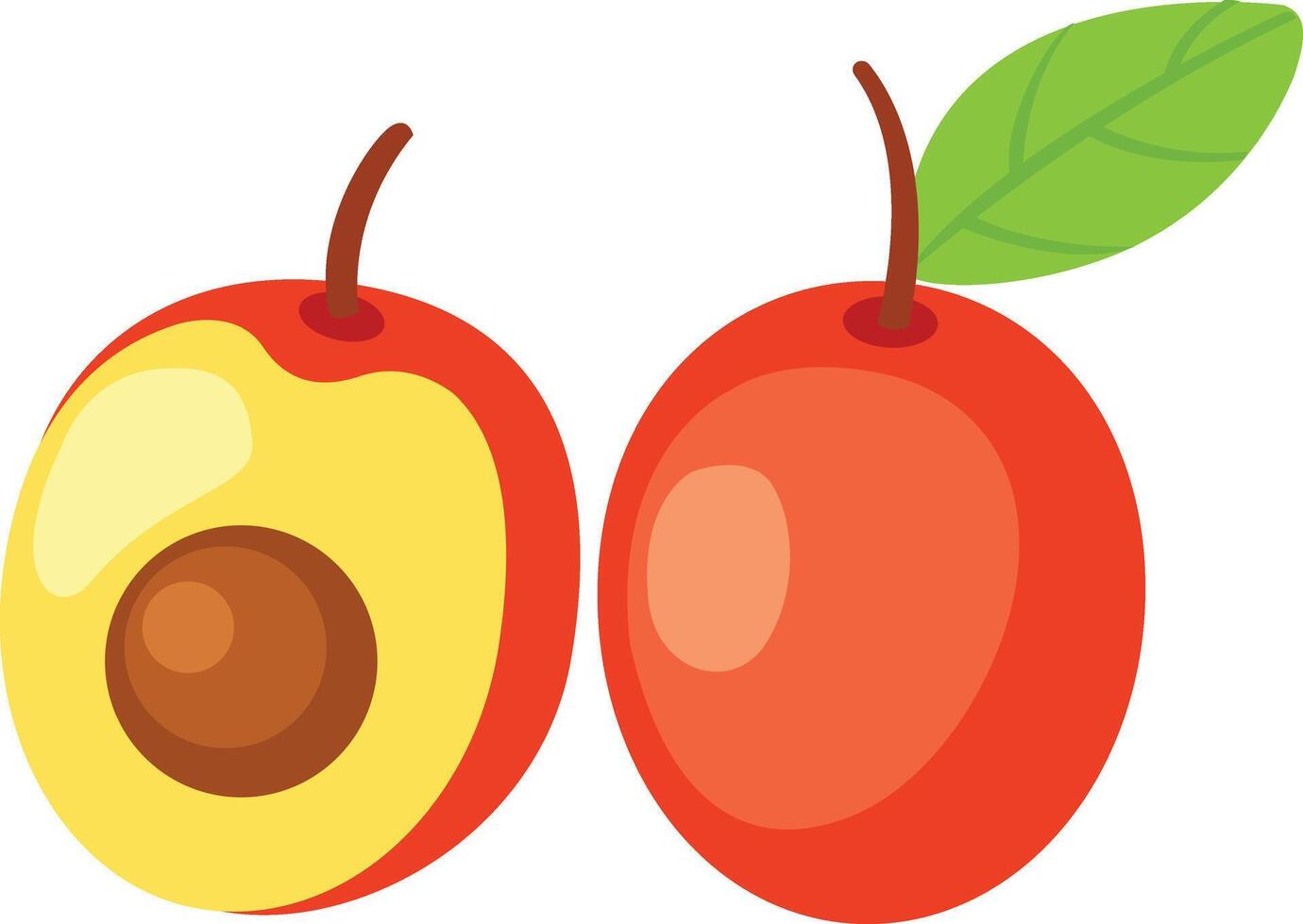 illustration of ximenia white on background vector