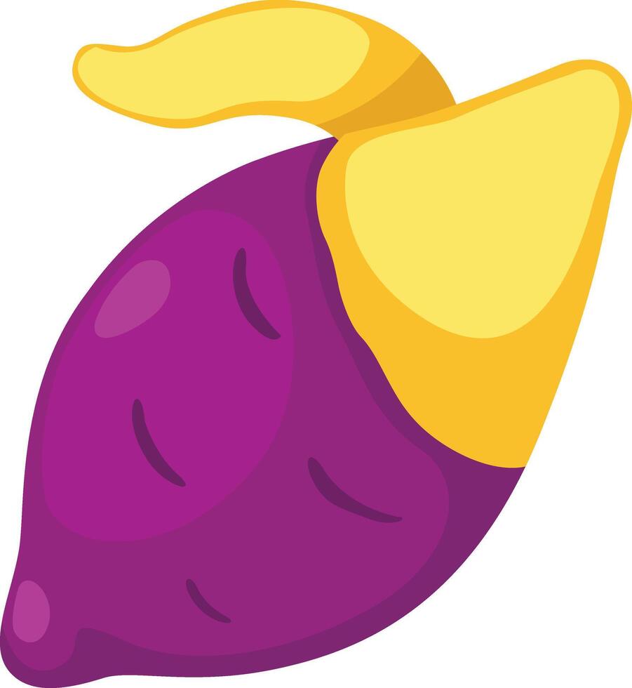 illustration of yam white on background vector
