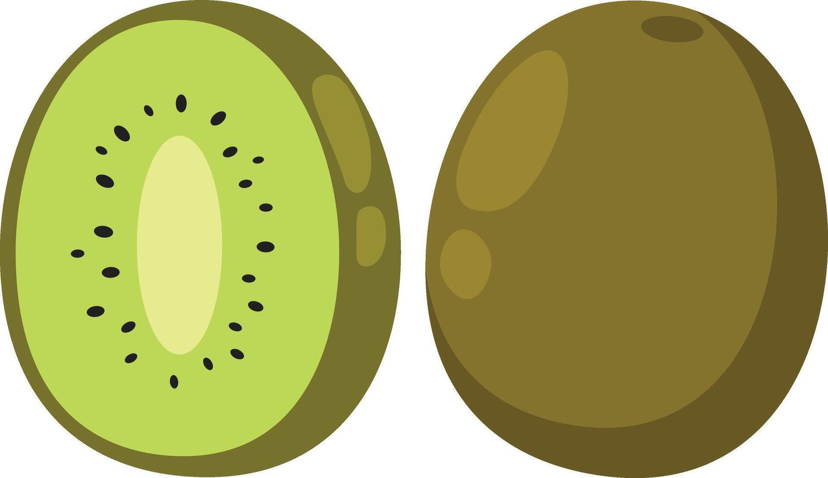 illustration of kiwi white on background vector