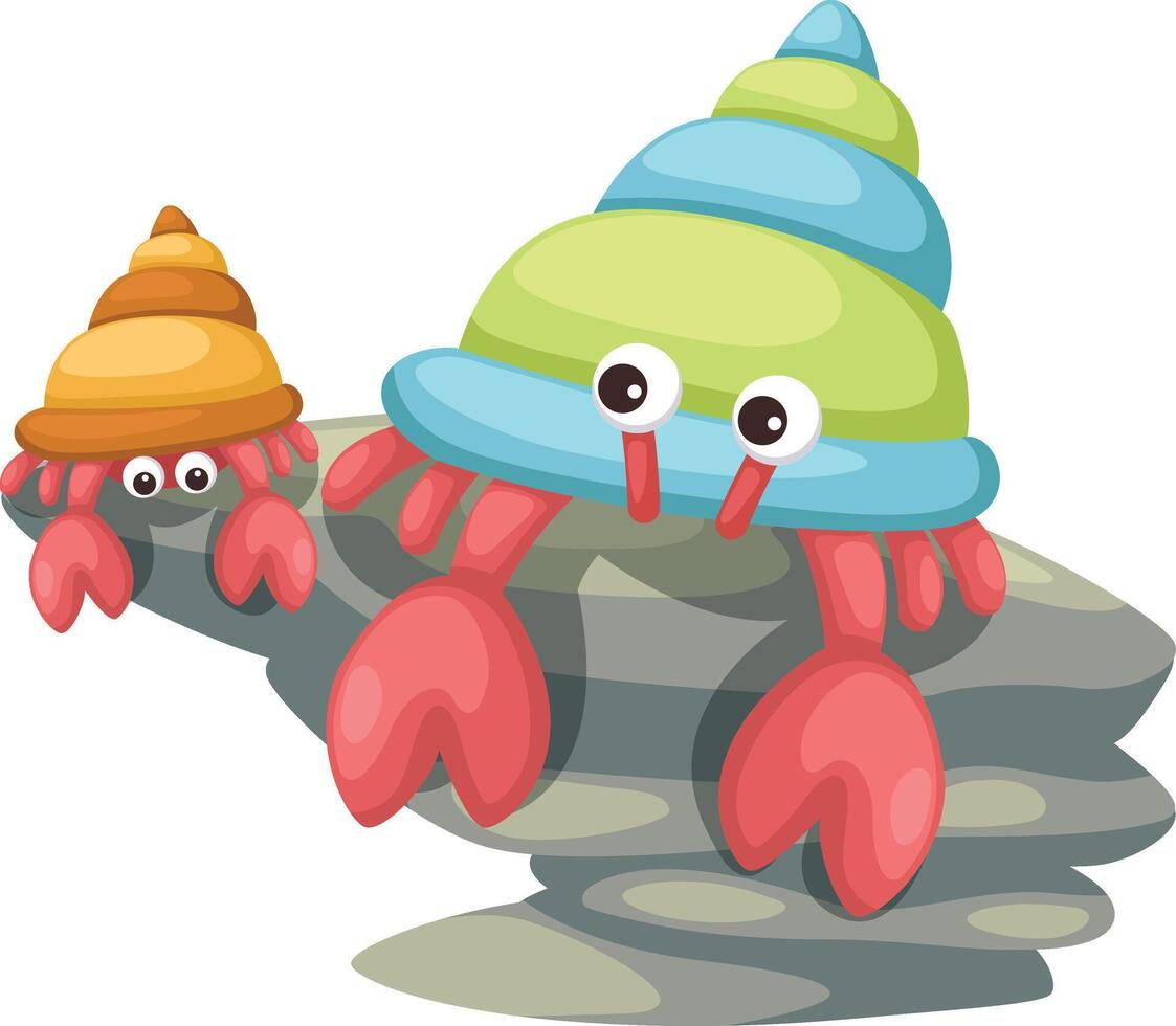 Illustrator of isolated hermit crab vector