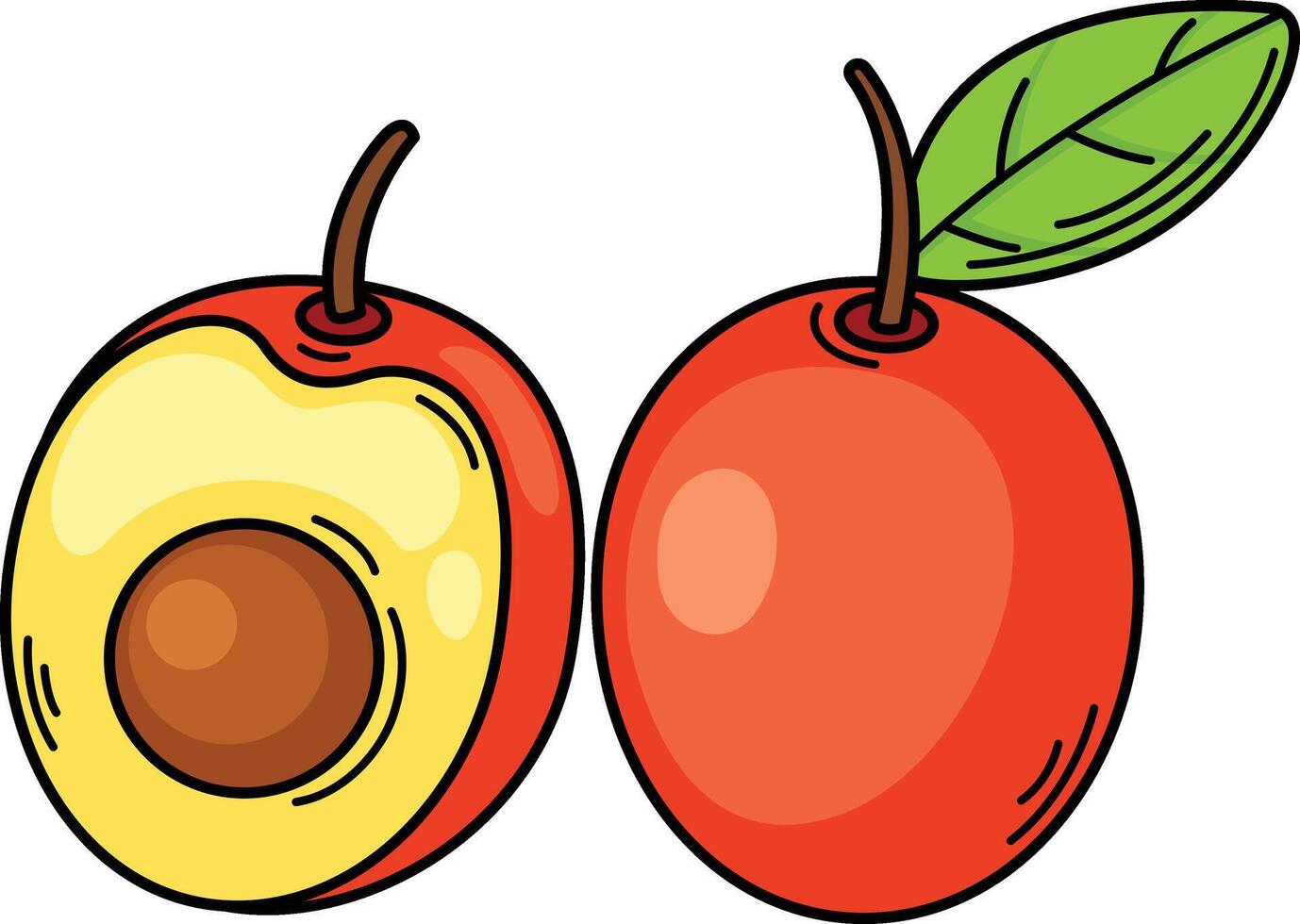 illustration of ximenia outline white on background vector