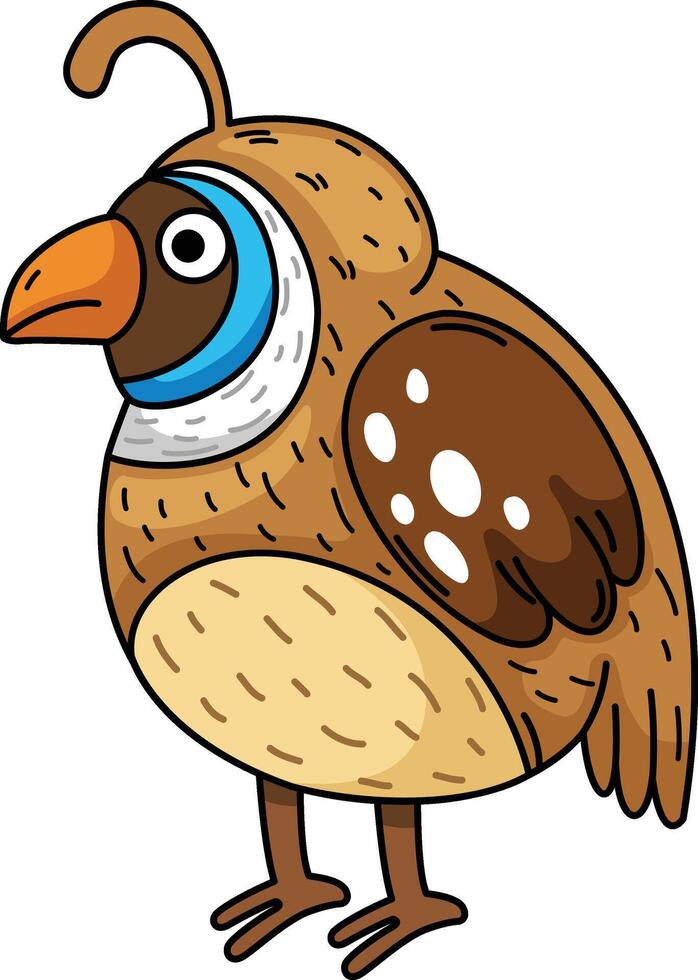 Hand drawn quail character illustration, vector
