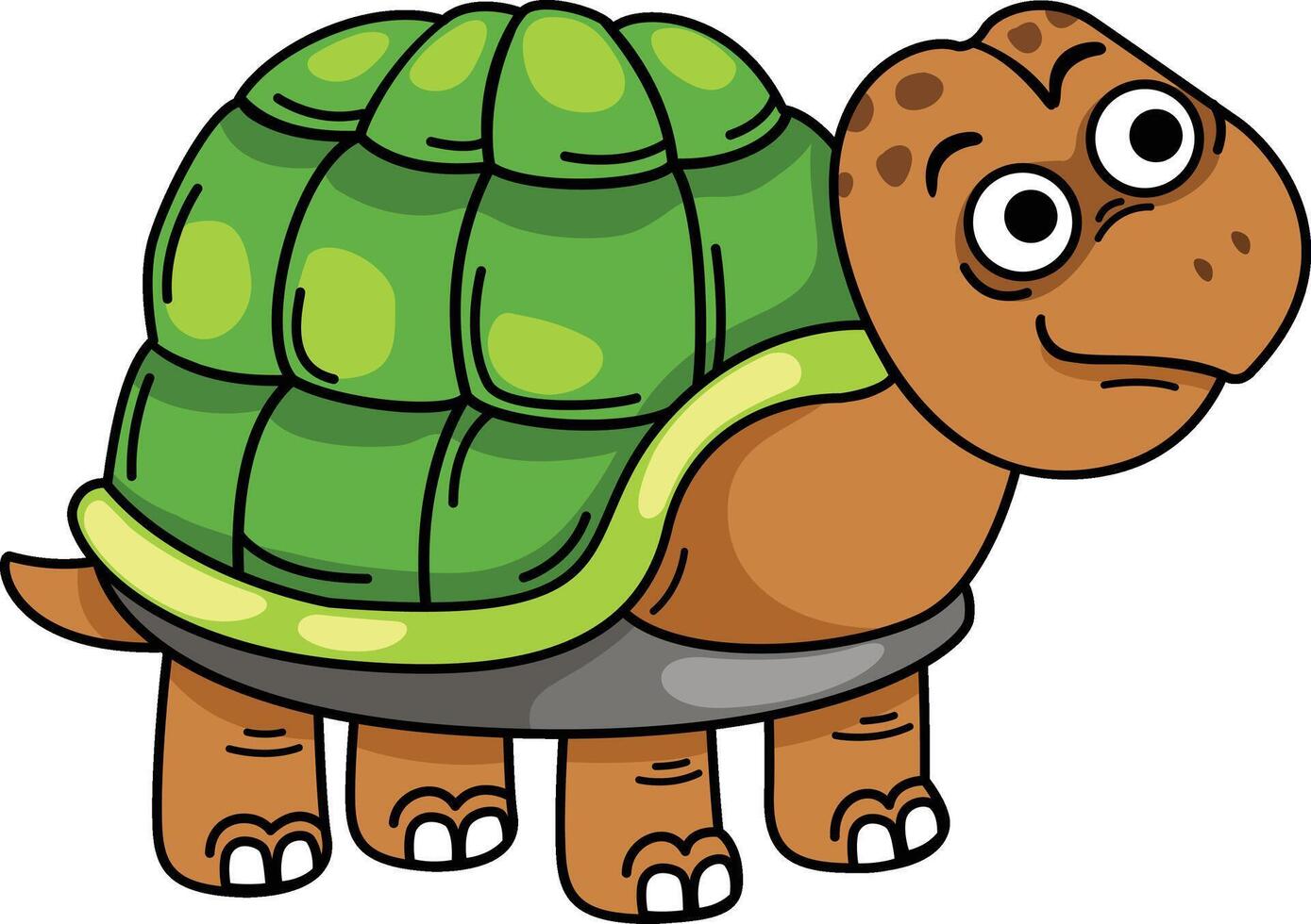 Hand drawn turtle character illustration, vector