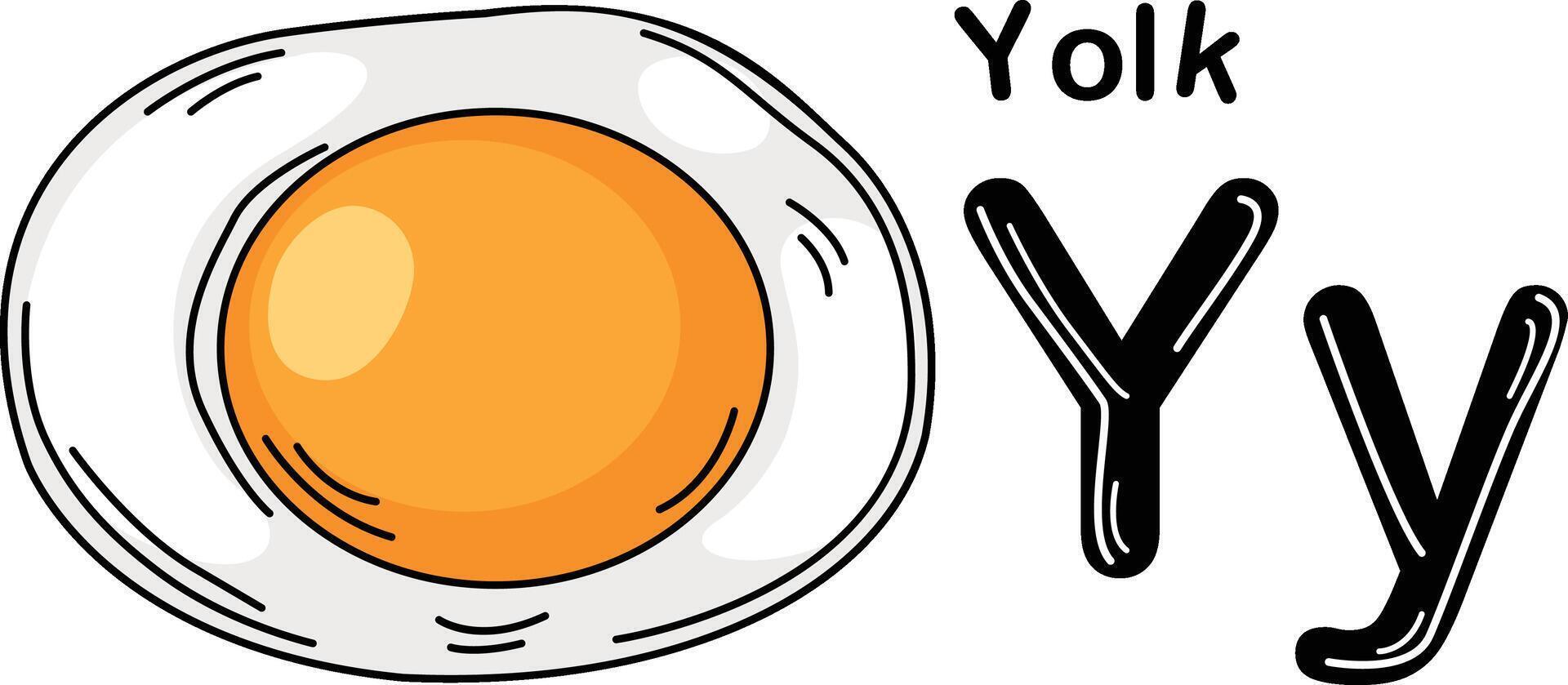 Illustration Isolated Alphabet Letter Y-Yolk vector