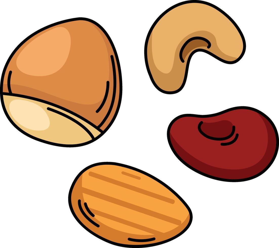 illustration of colorful nut outline white on background vector