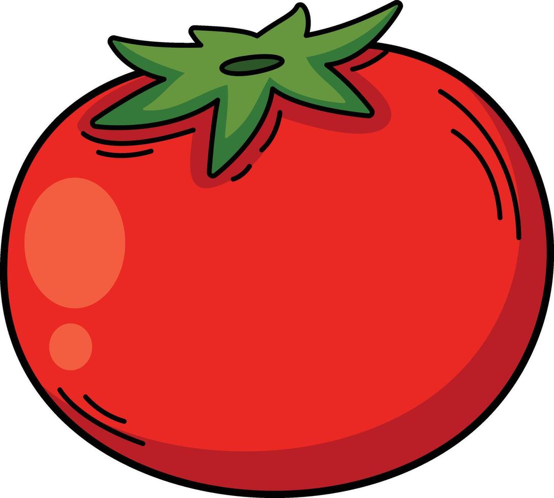 illustration of colorful tomato outline white on background vector
