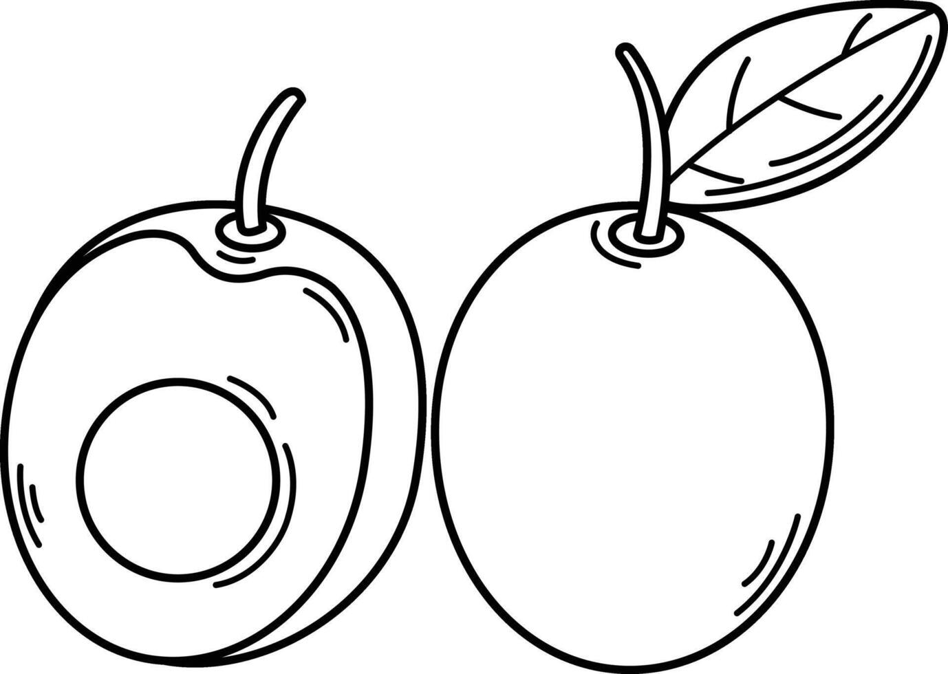 illustration of ximenia outline white on background vector
