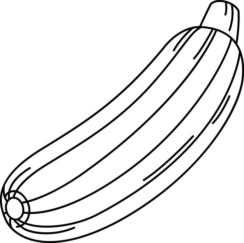 illustration of colorful zucchini outline white on background vector