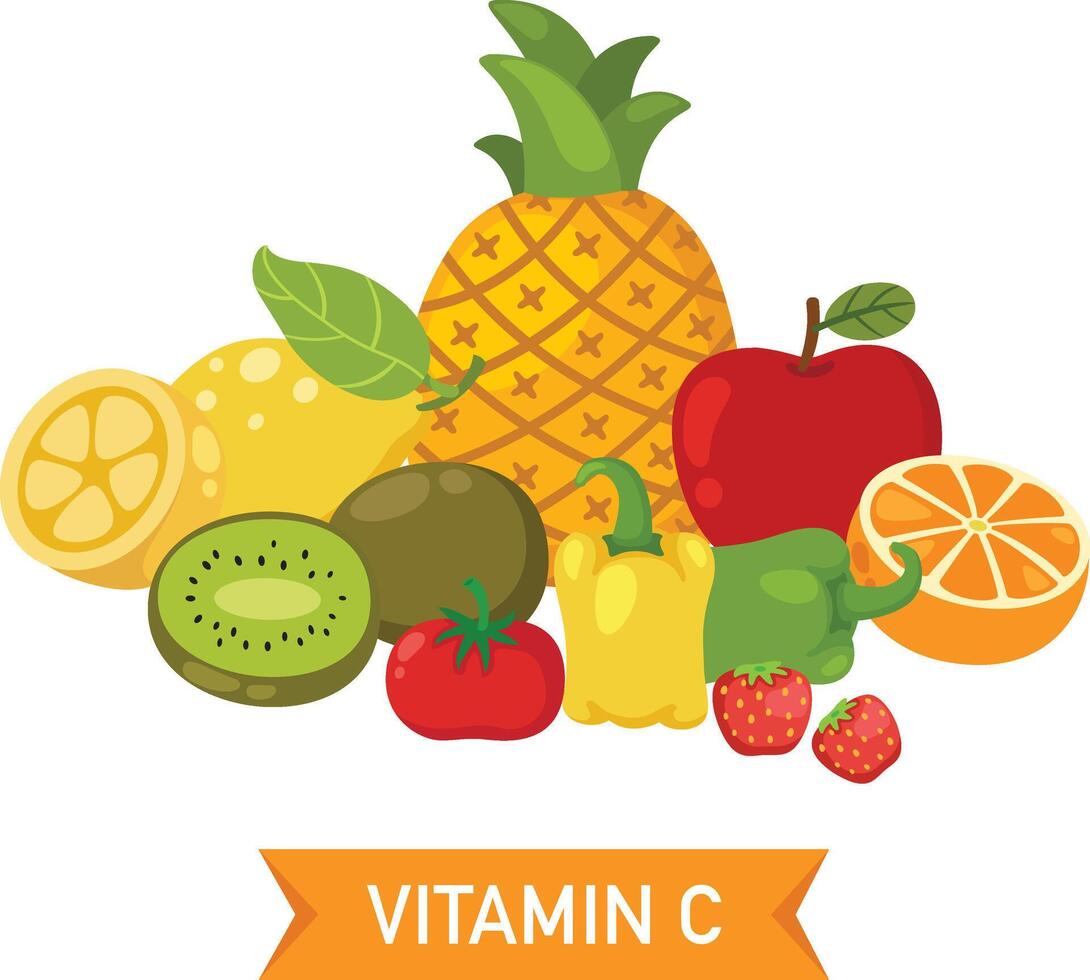 Vitamin C food sources illustration vector