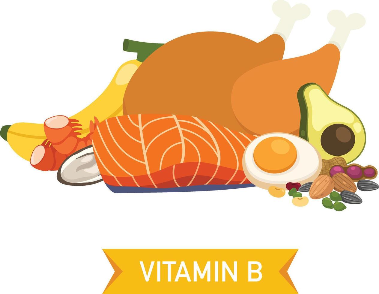 Vitamin B food sources illustration vector