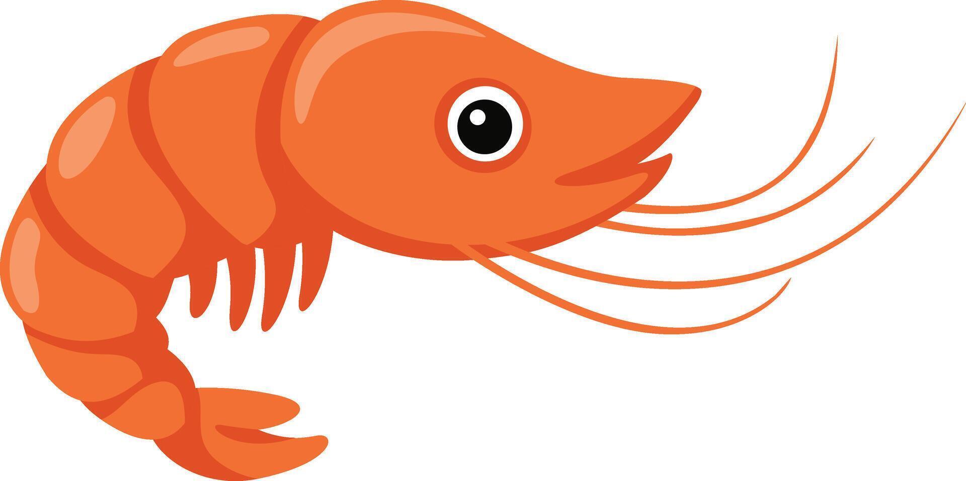 illustration of shrimp on a white background vector