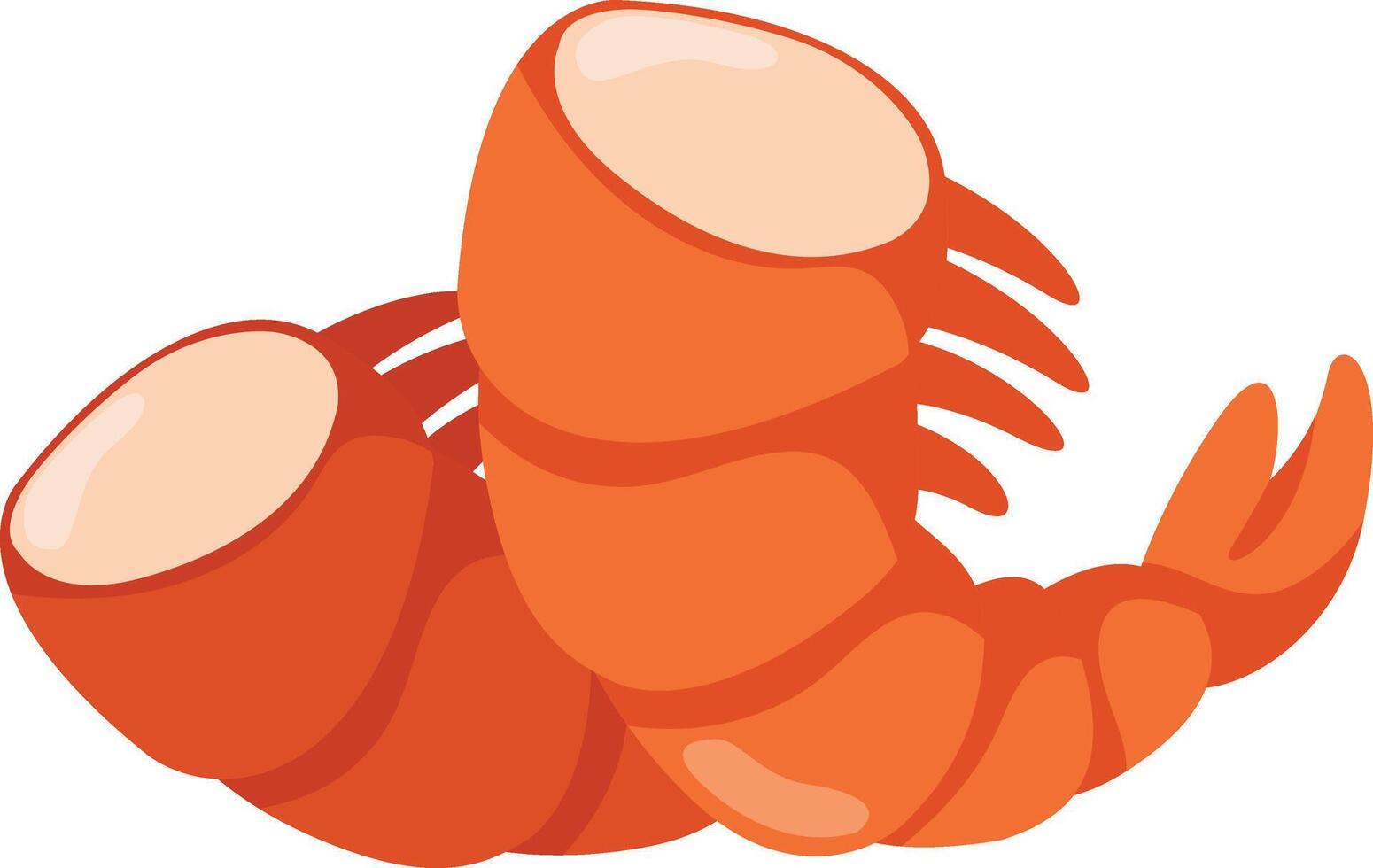 illustration of shrimp on a white background vector