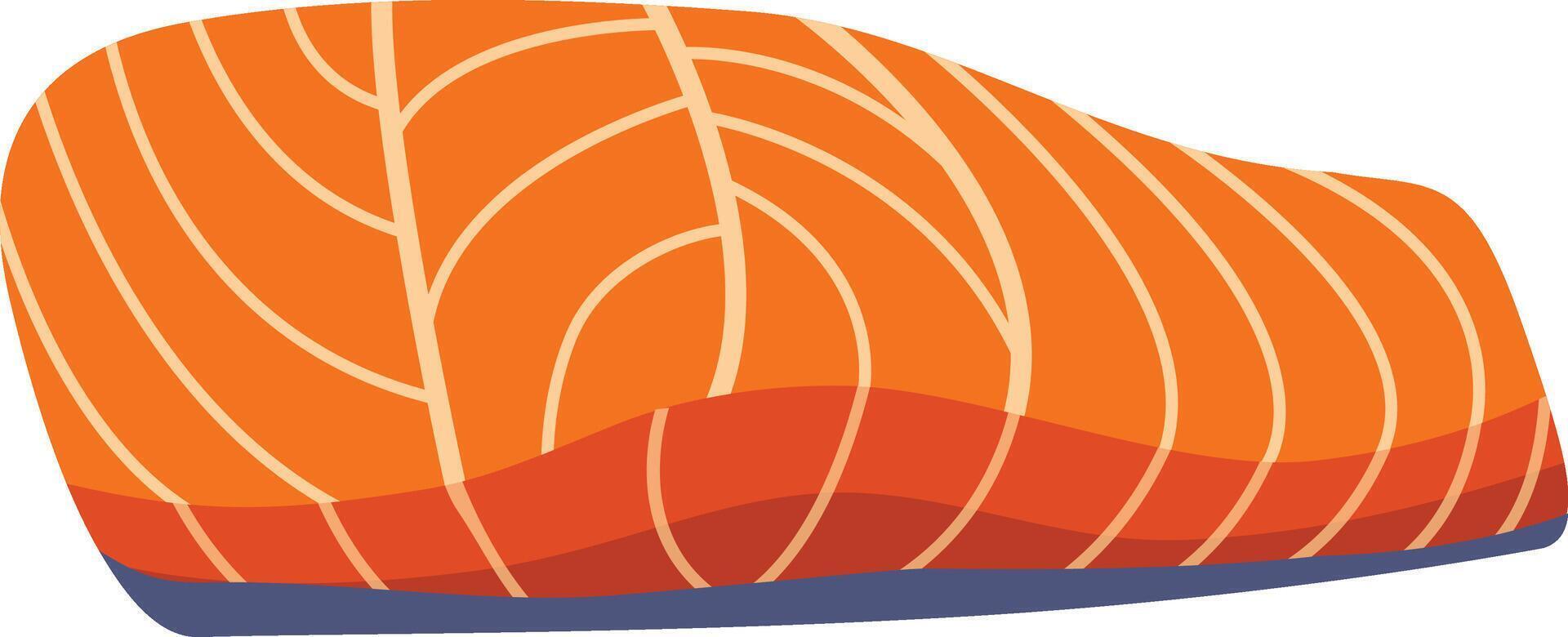 illustration of salmon meat on a white background vector