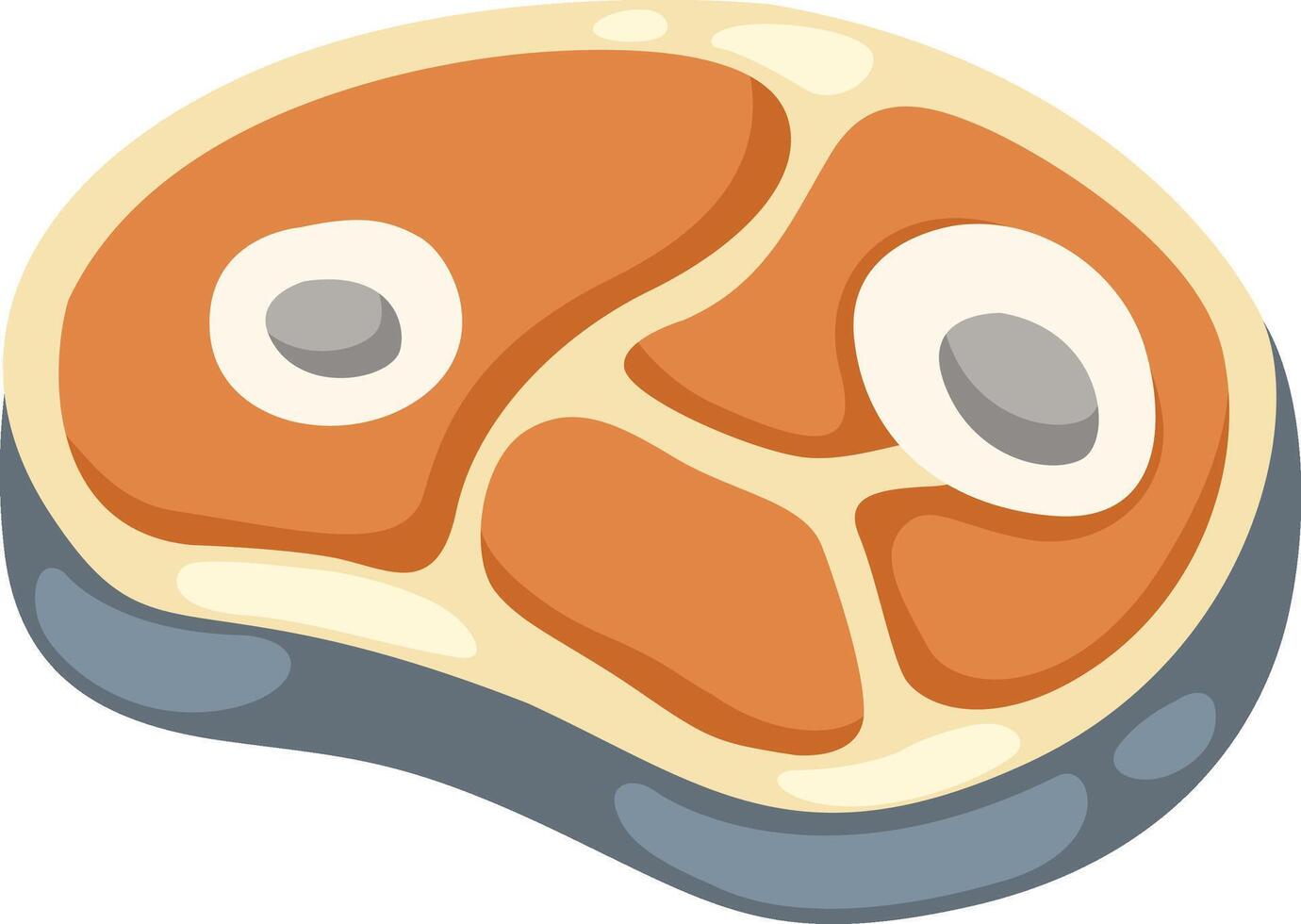 illustration of salmon meat on a white background vector