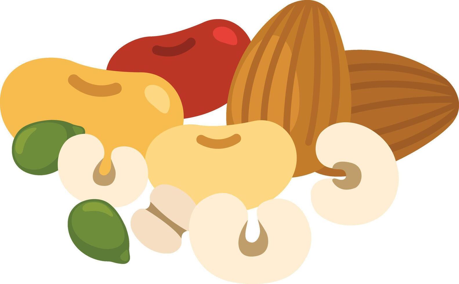 illustration of on nuts a white background vector