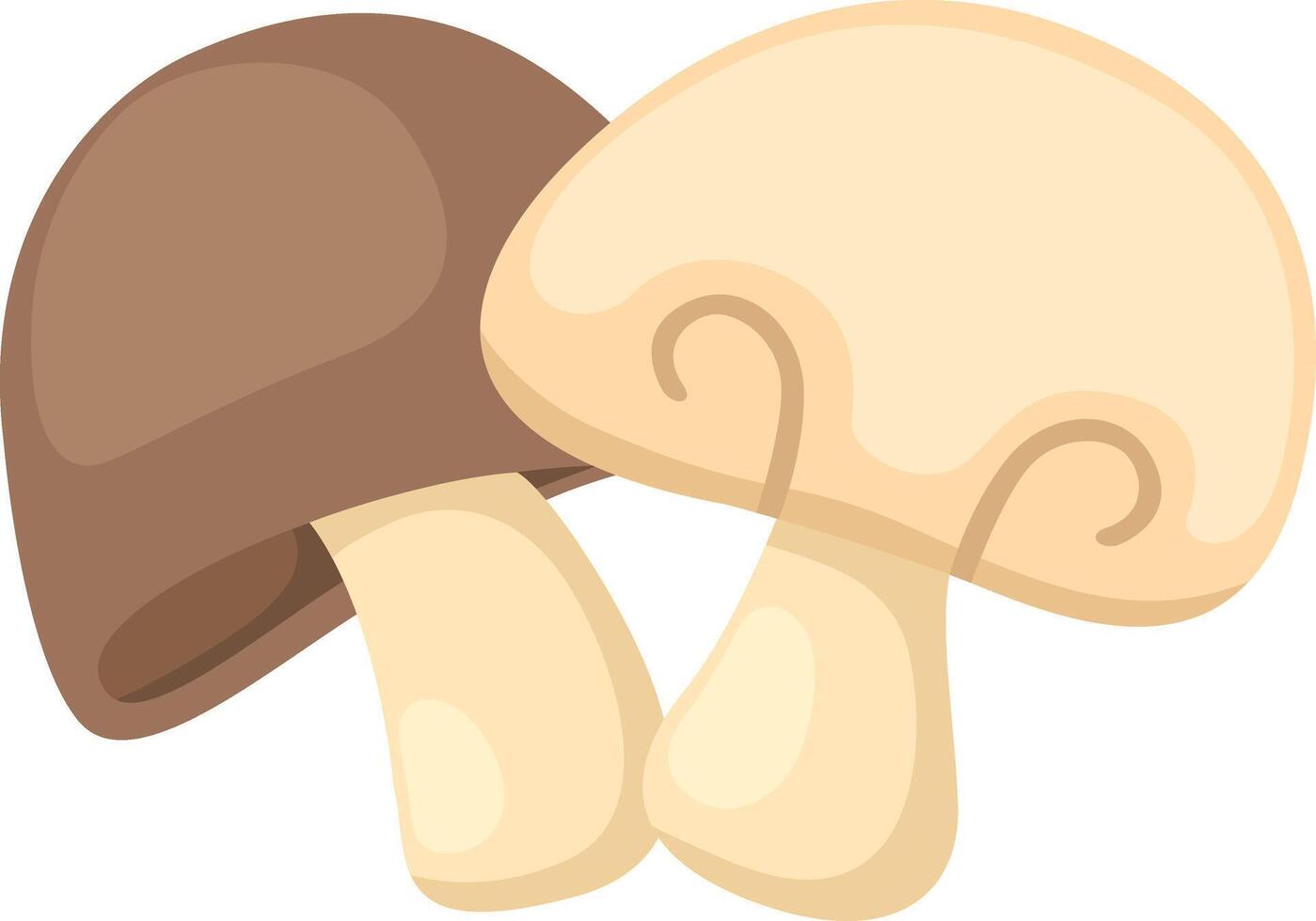 illustration of mushroom on a white background vector
