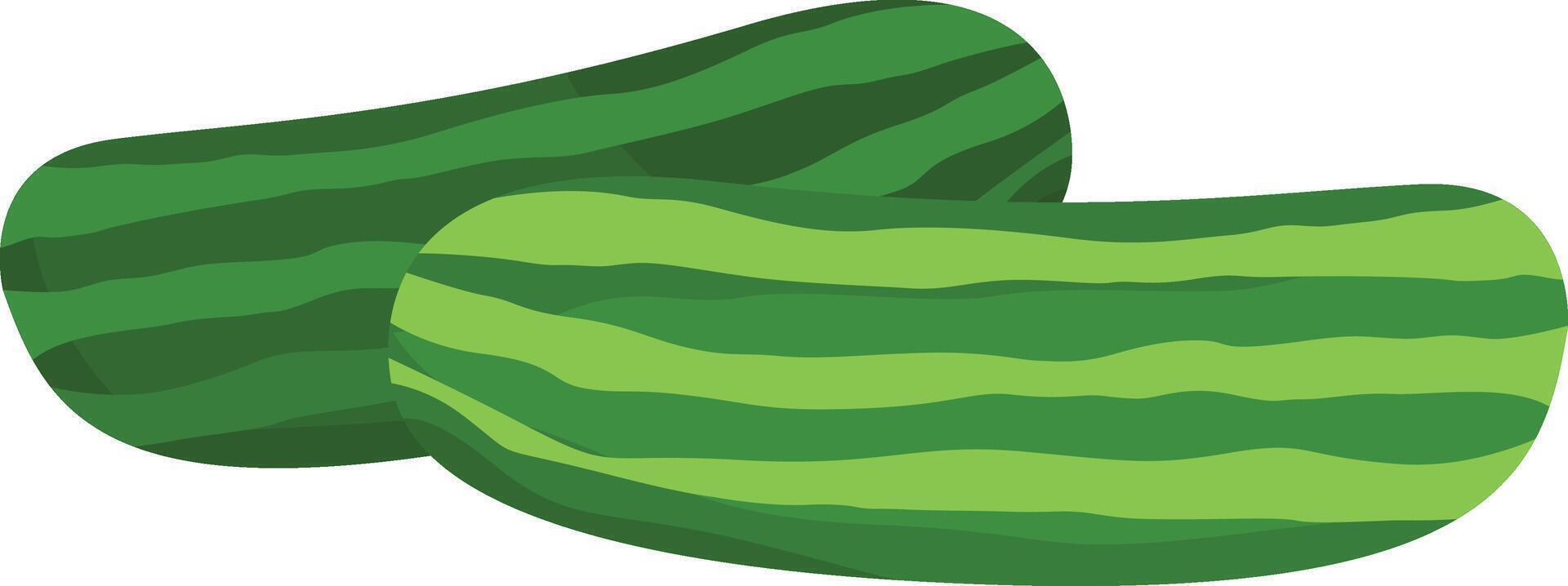 illustration of cucumber on a white background vector