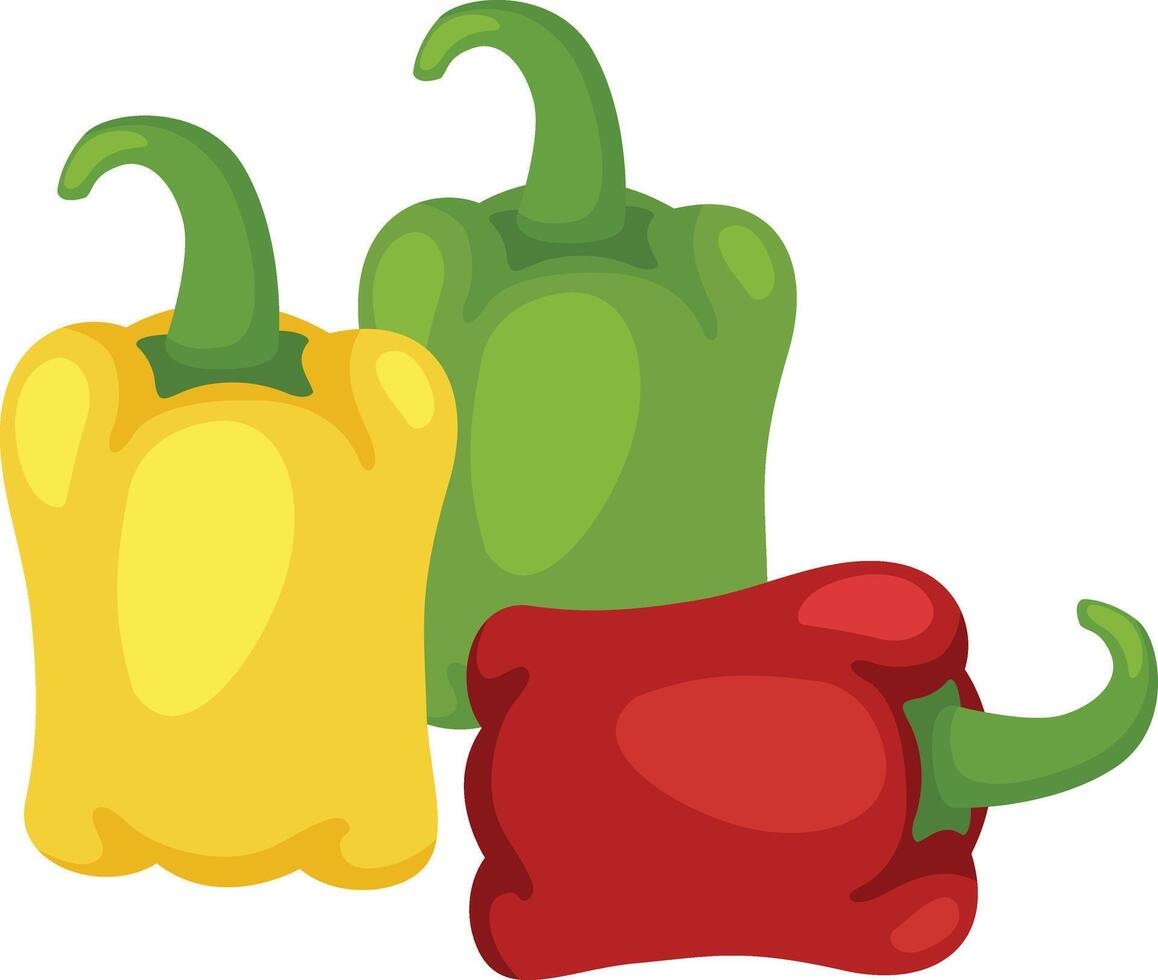 illustration of Bell pepper on a white background vector
