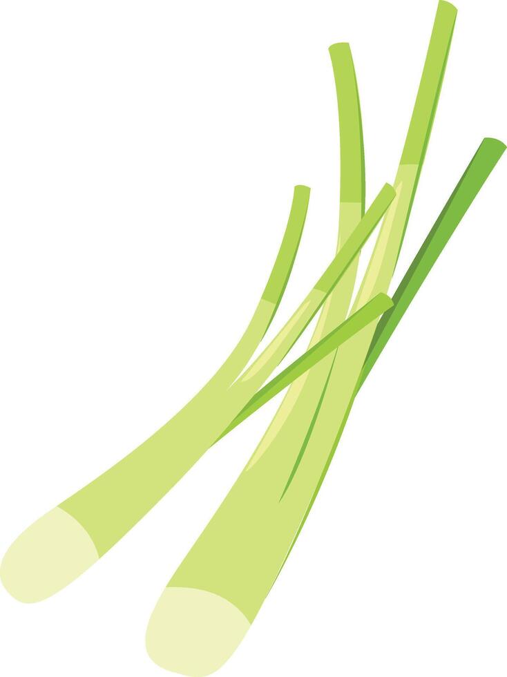 illustration of spring onion on a white background vector