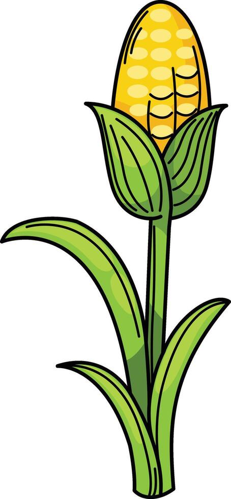 illustration of corn on a white background vector