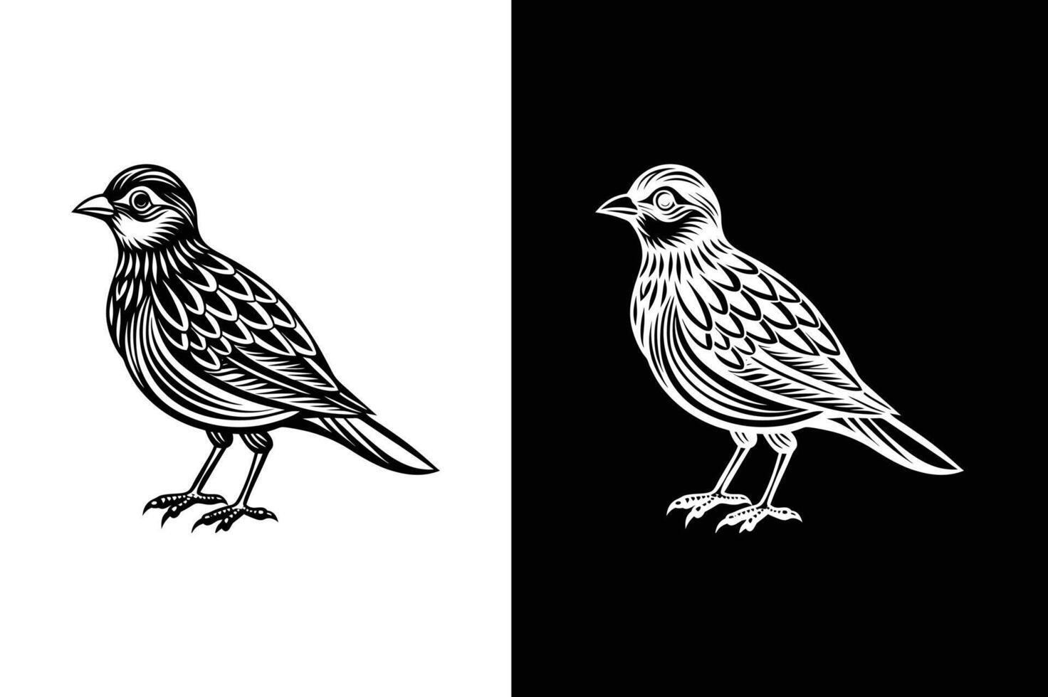 Distinct Bird Silhouettes in Black. Design Icons for Creative Projects vector