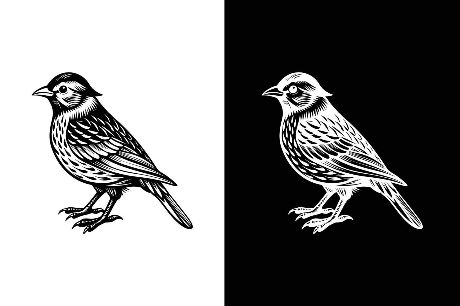 Elegant Bird Icons and Silhouettes. Black Elements for Branding vector