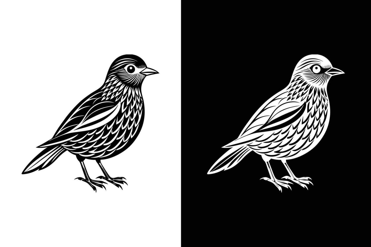 Bird Icon Silhouettes in Black. Elements for Stunning Designs vector