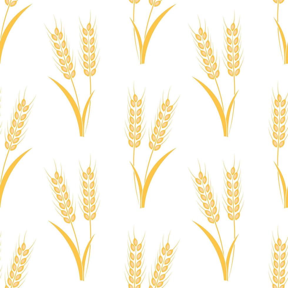 Seamless Pattern of Spikelet of Wheat on White Background vector