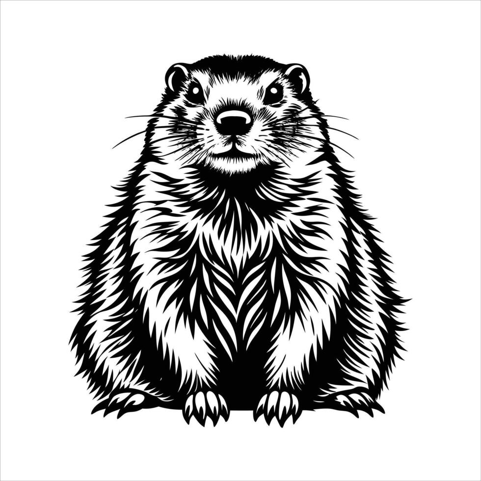 Charming Marmot Nature Whimsical Rodent. vector