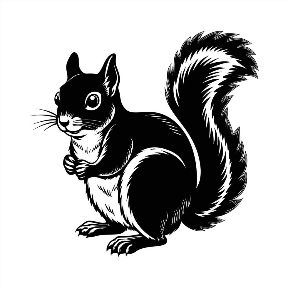 Cute and Cozy Douglas Squirrel Design vector
