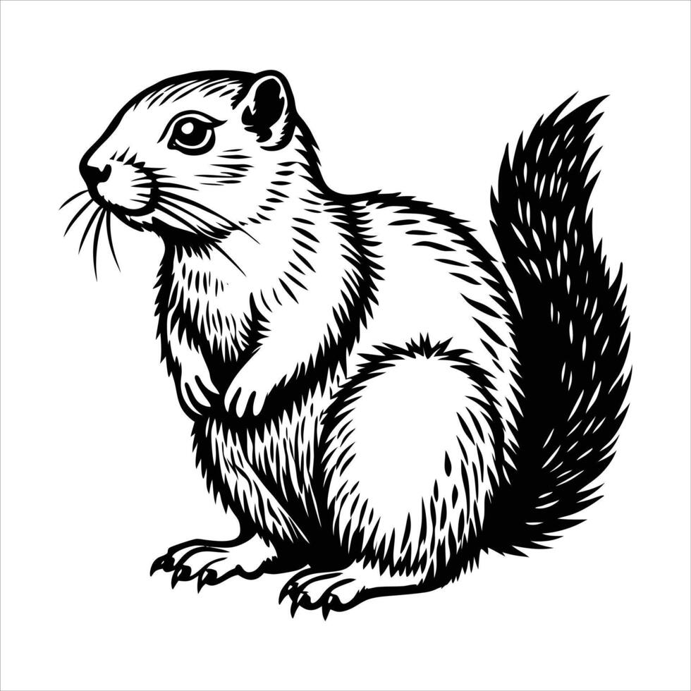 Cute Arctic ground squirrel vector