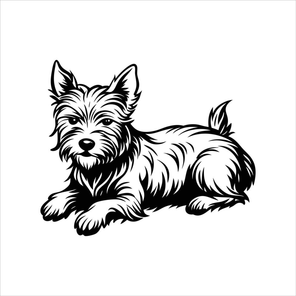 Happy Border Terrier Sitting in Garden vector